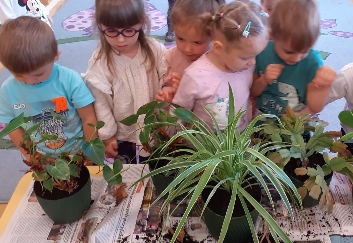 Dzieci oglądają rośliny w doniczkach, które stoją na stoliku.